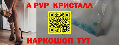 амф Сланцы