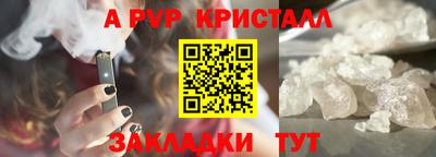 амф Сланцы