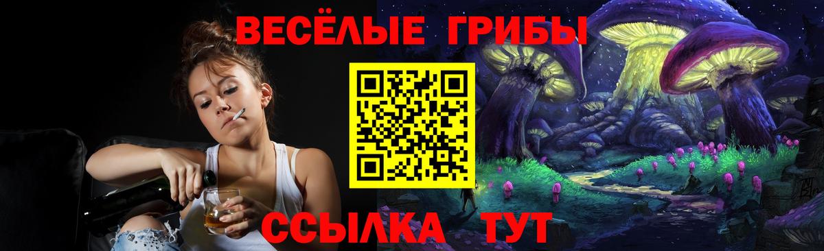 Псилоцибиновые грибы прущие грибы Подольск